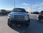 2014 Ford F-150 Platinum