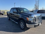 2010 Ford F-150 XLT