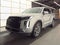 2024 Hyundai Palisade SEL 7P